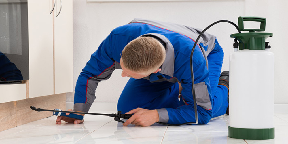 pest control service in Chennai