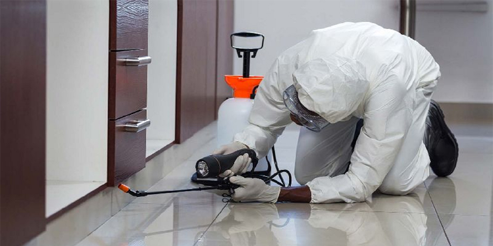 pest control service in Chennai